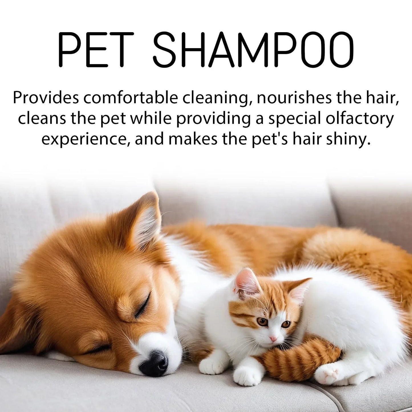 PawGlow Shampoo