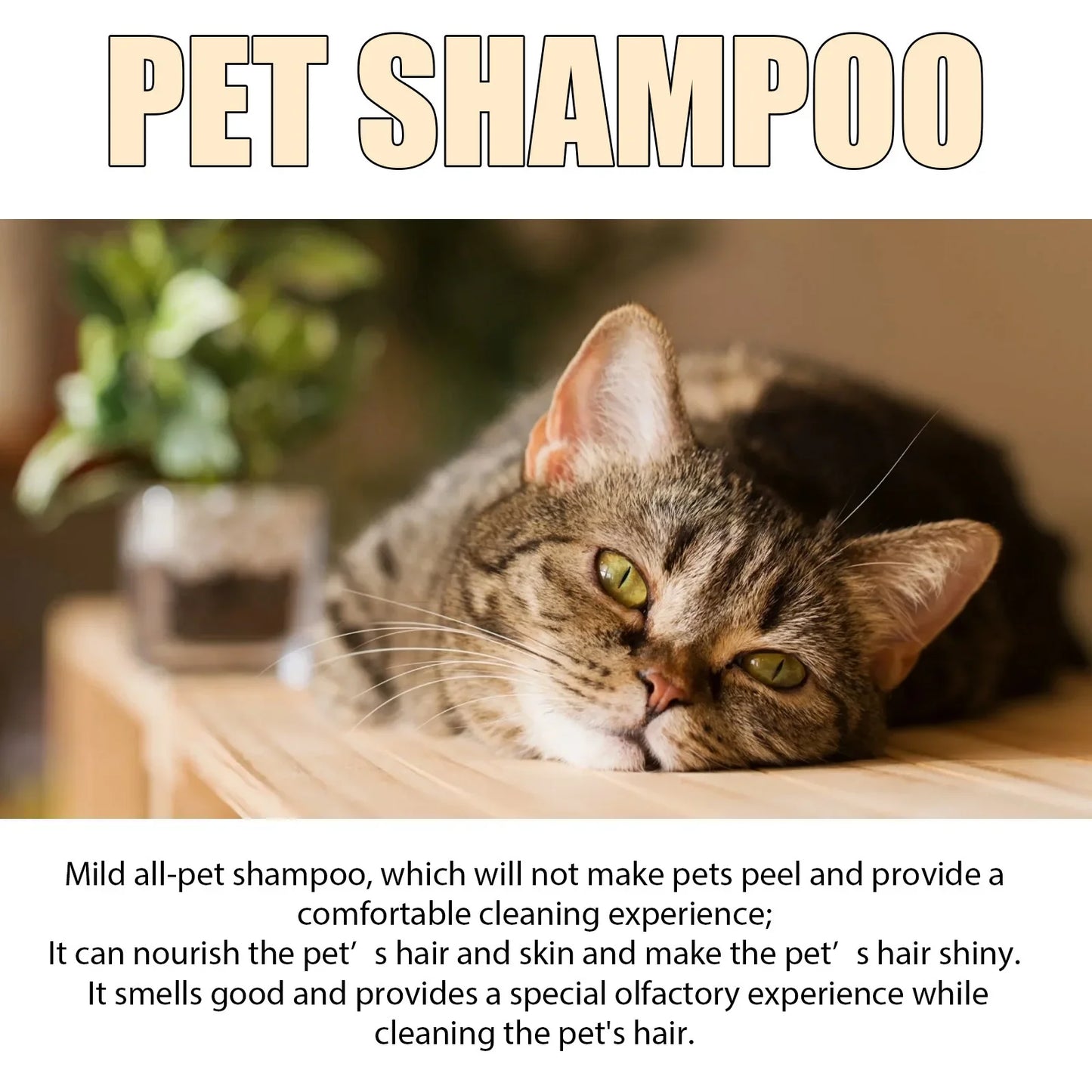 PawGlow Shampoo